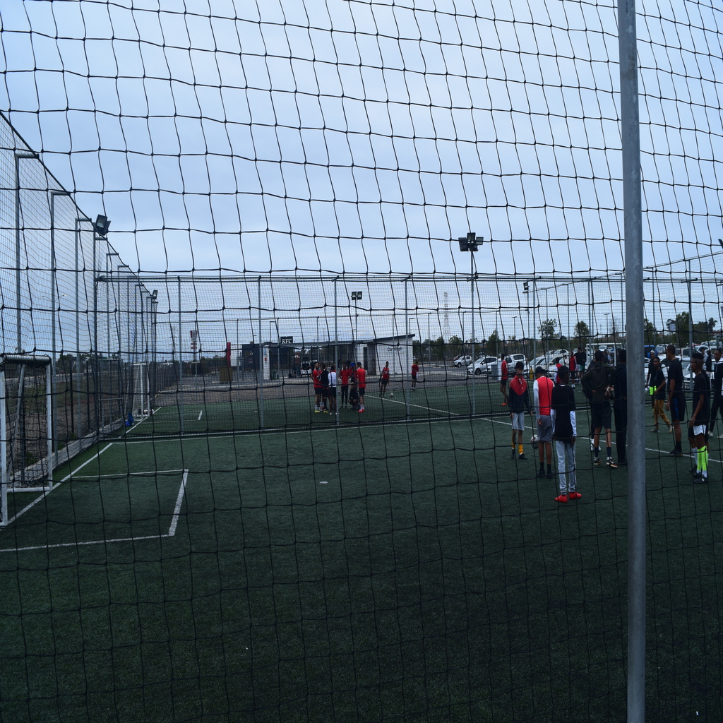 Picture of teams playing
